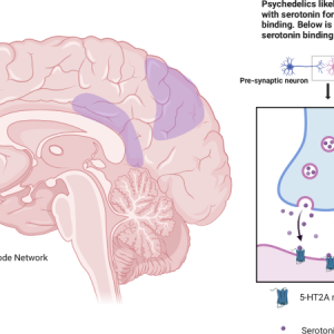 Psilocybin: A Revolutionary Breakthrough in Mental Health Treatment