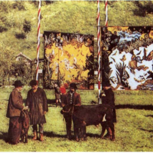 The Calm Within Chaos: Stoic Wisdom for the Anxious Mind